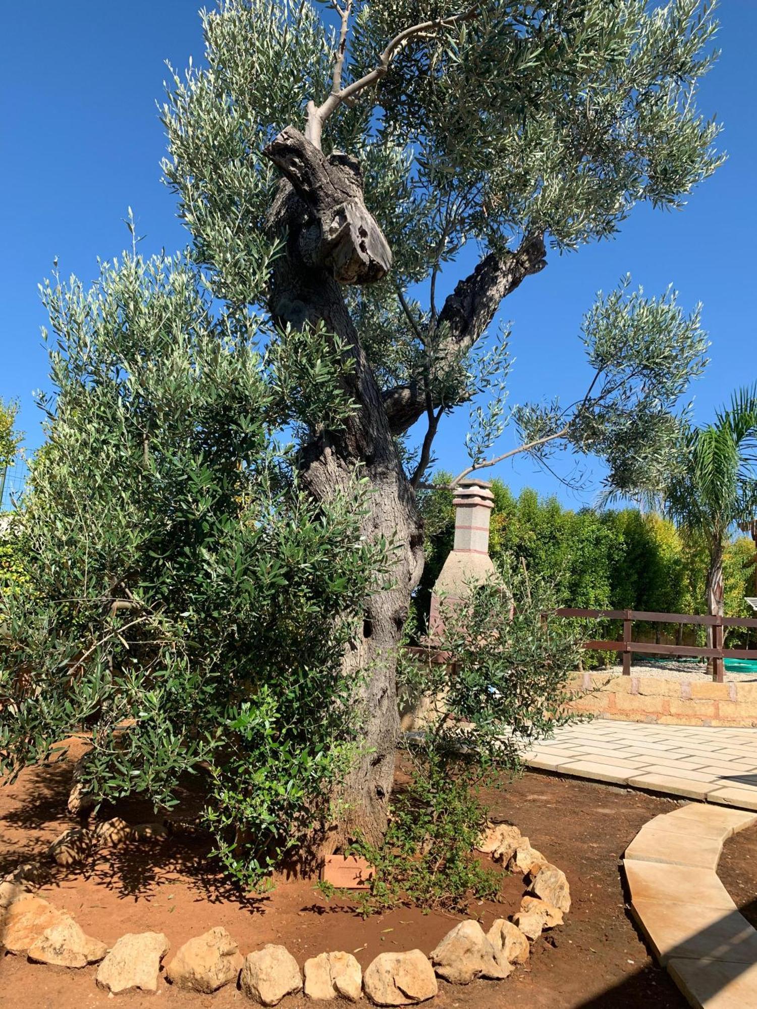 Capilungo Villetta Mari Con Piscina Esclusiva Nel Salento מראה חיצוני תמונה